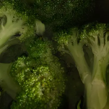 Profile image of 꾸몽