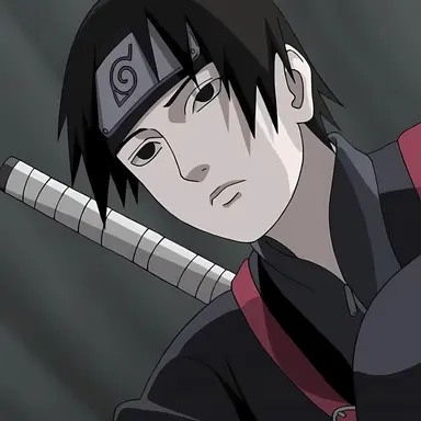 Profile image of Sai