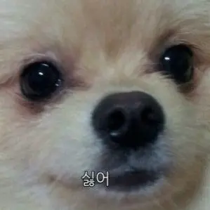 Profile image of 김여우