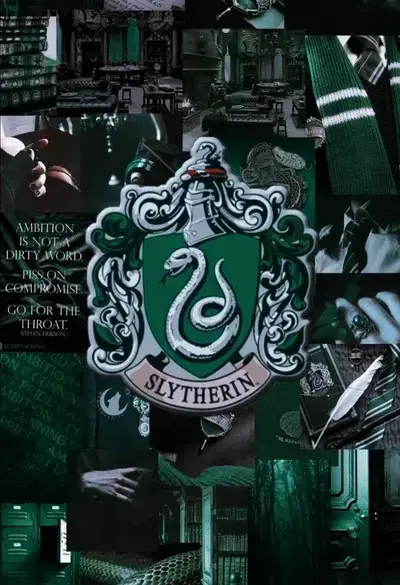 UntidyChild5958의 Slytherin gang