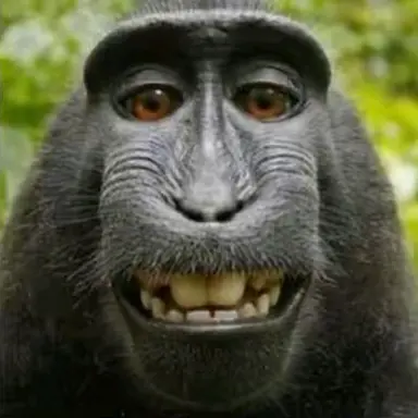 Profile image of ブリ子