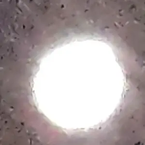 Profile image of .....