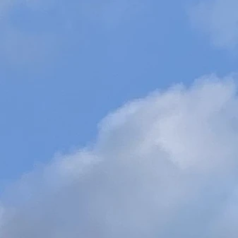 미파