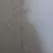 현서
