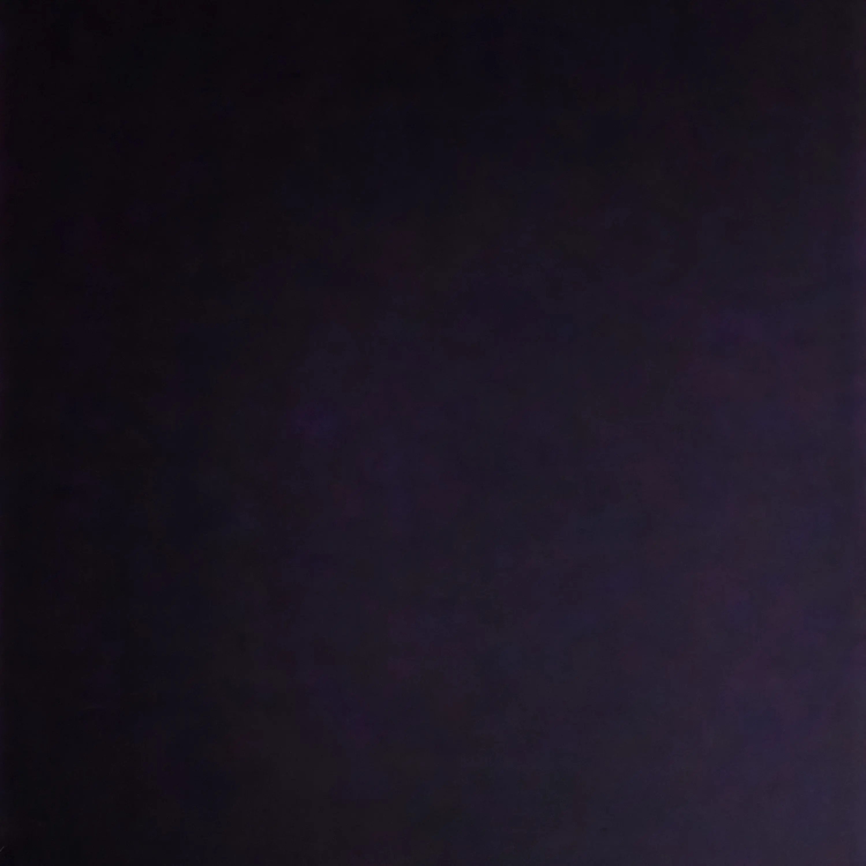 FeebleStork1801의 아내