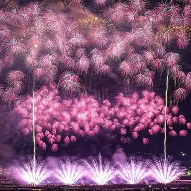 Profile image of 志帆