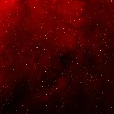 Profile image of 감재이