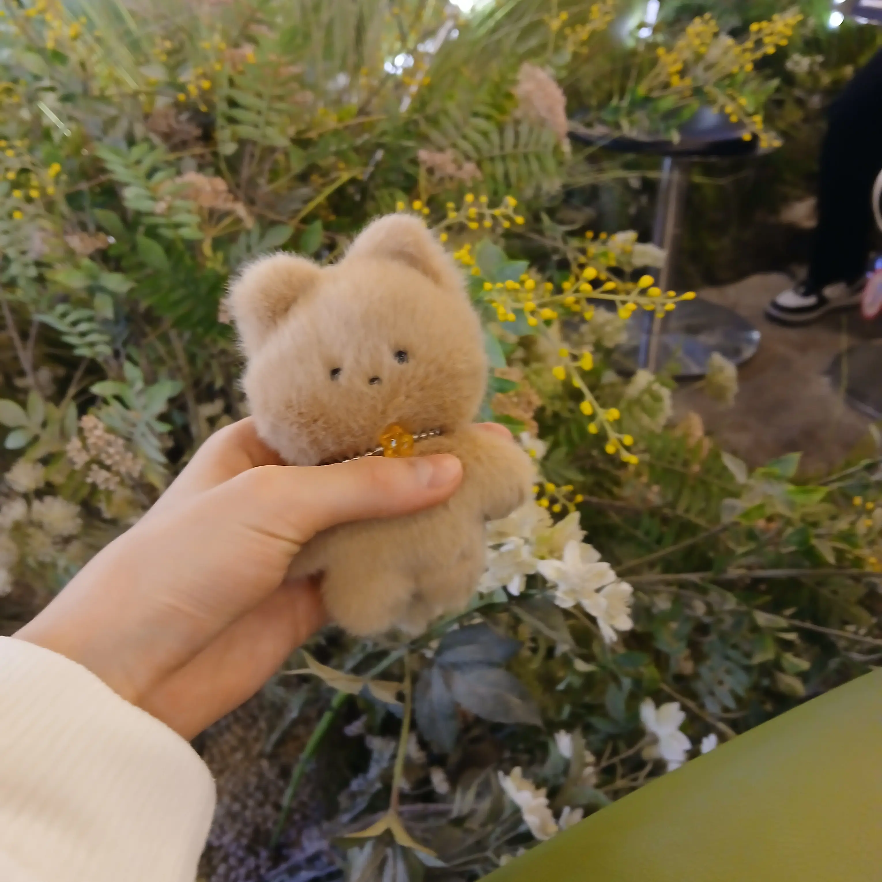 Kunisei_liaco의 다람쥐 나무