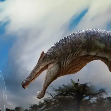 Profile image of 스피노