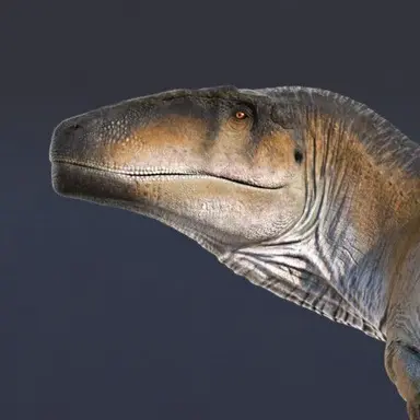 Profile image of 카르카로돈토