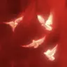 Profile image of 플래그
