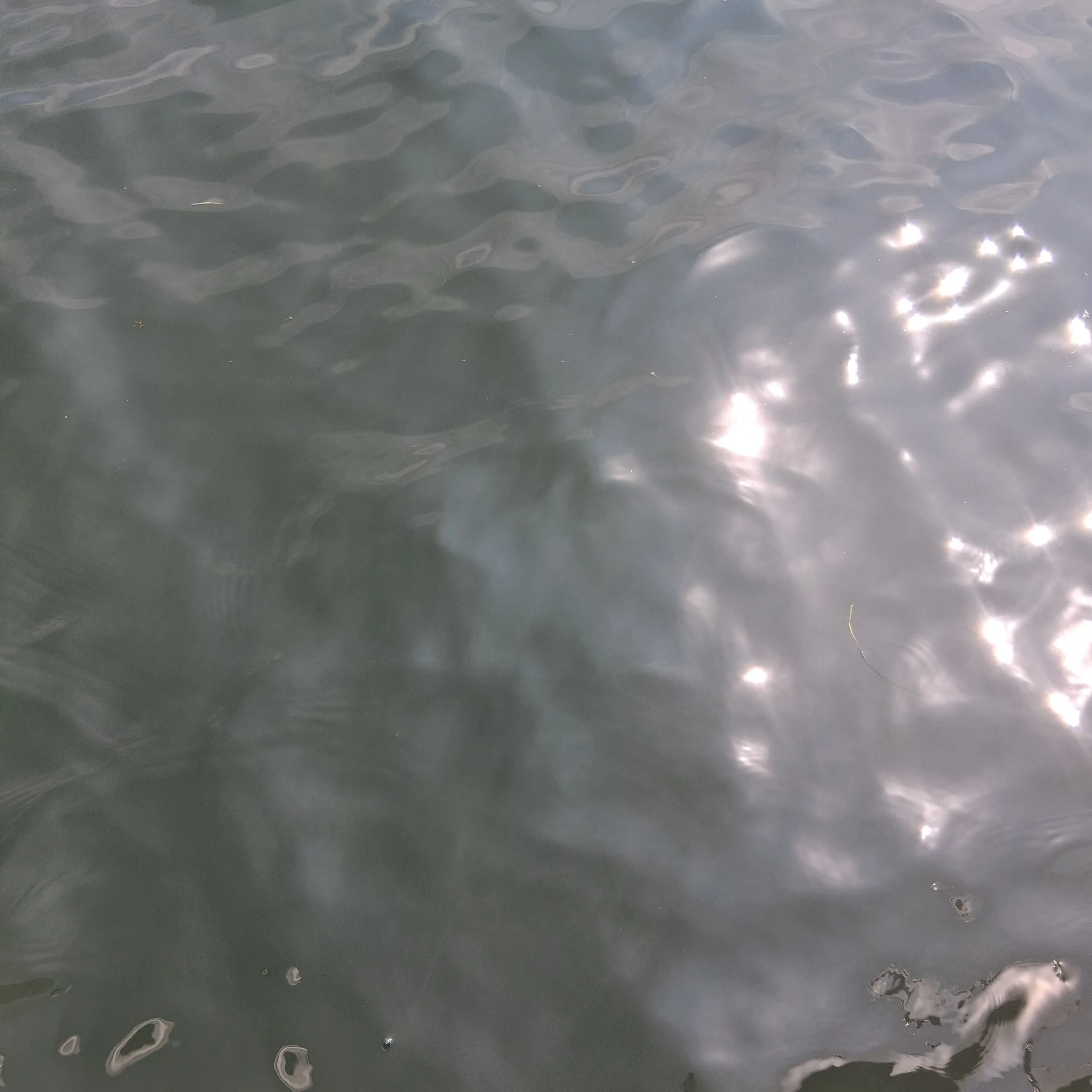 WSHJK의 시청자가유저무이코스프레를보고싶어한다?