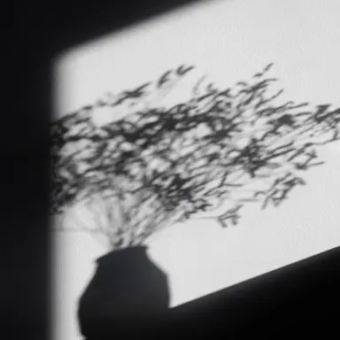 Profile image of 고죠 사토루