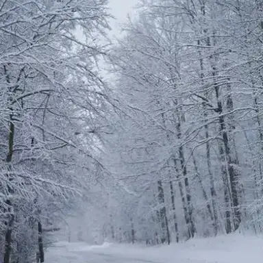 Profile image of Apocalypse