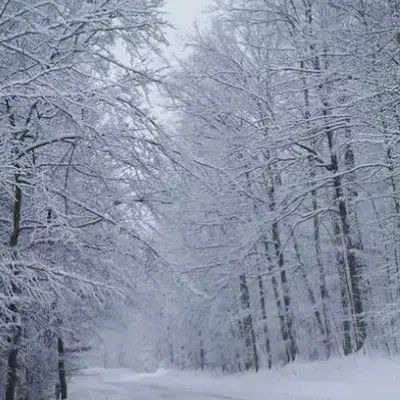 CoarseFloss7341의 Apocalypse