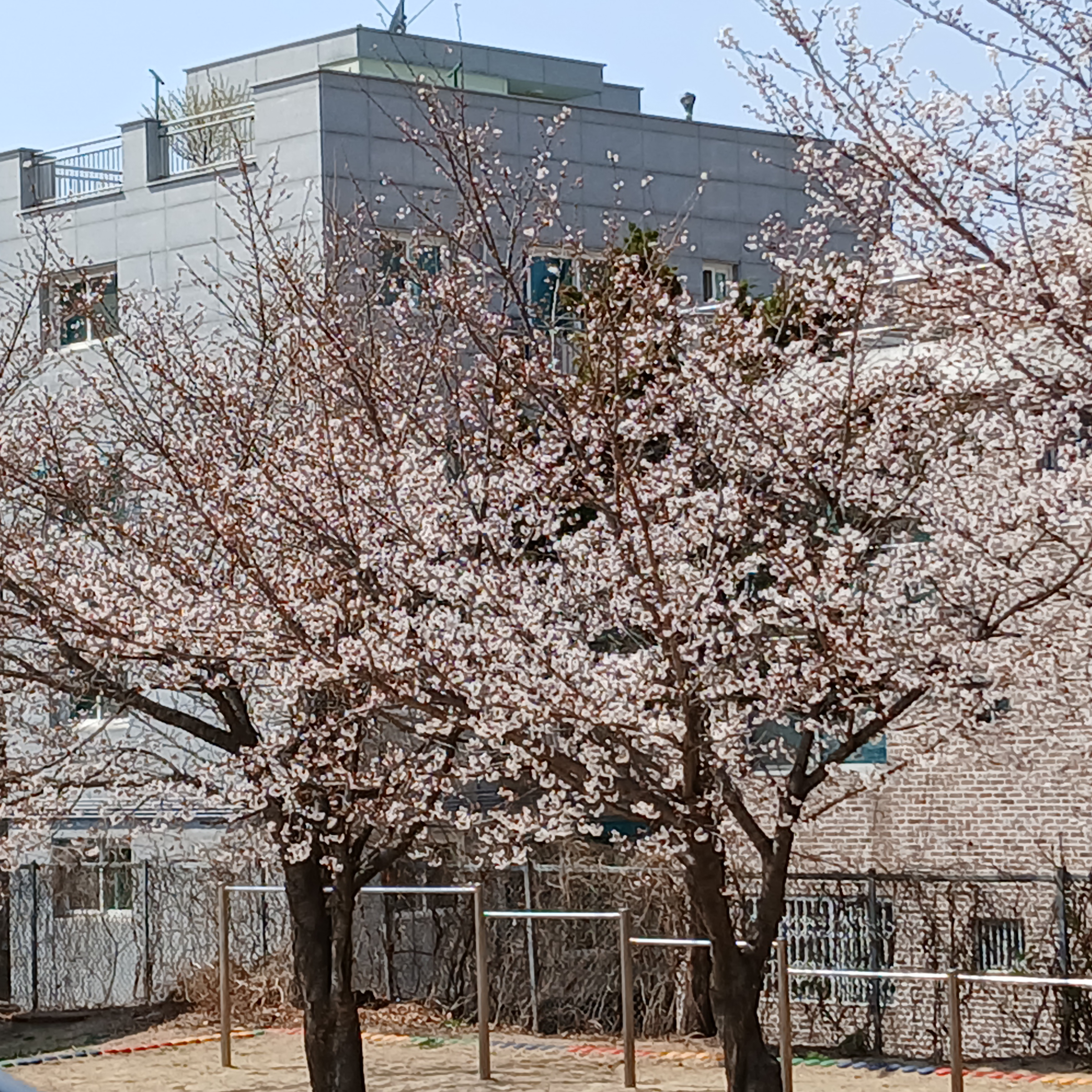 일진녀 세현 대표 이미지