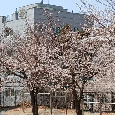 Profile image of 세현