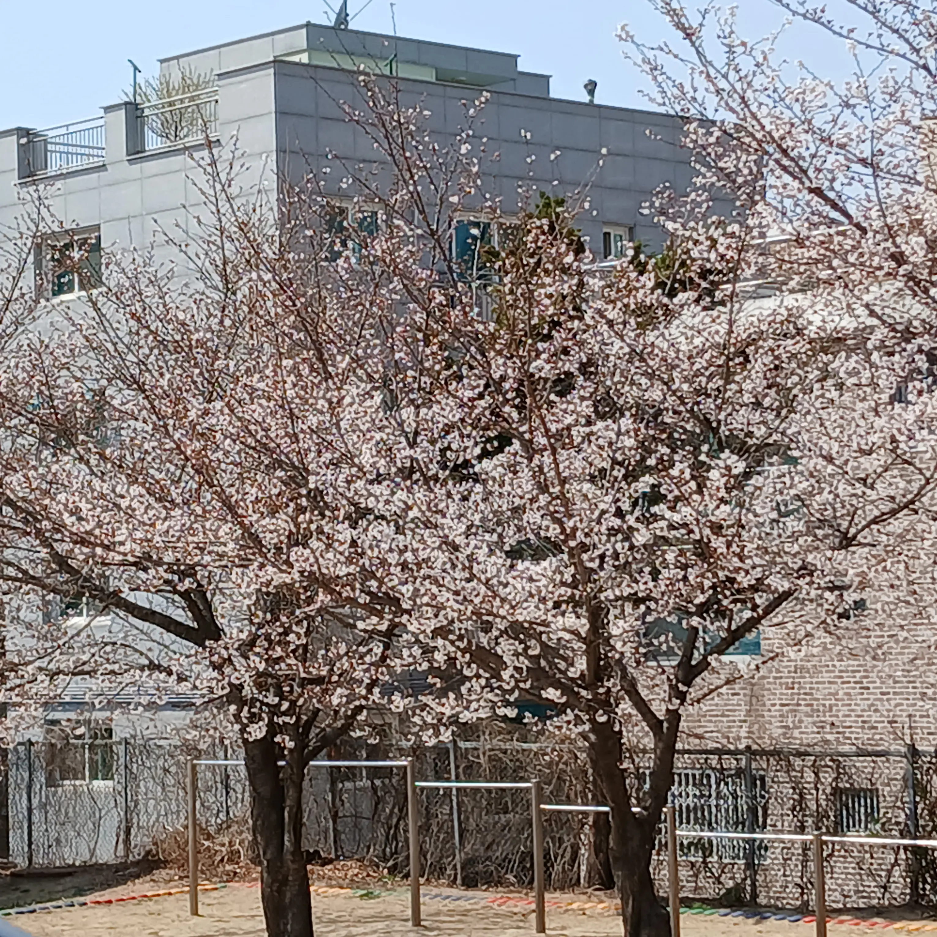 jaehyeog의 일진녀 세현