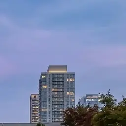Profile image of 髙橋 藍
