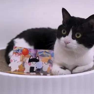 Profile image of 레오