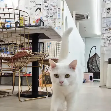 Profile image of 푸딩