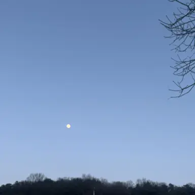 Profile image of 이여우