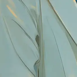 Profile image of 하야세 카나토