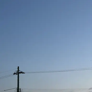 Profile image of 太宰治