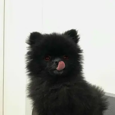 Profile image of 유기사