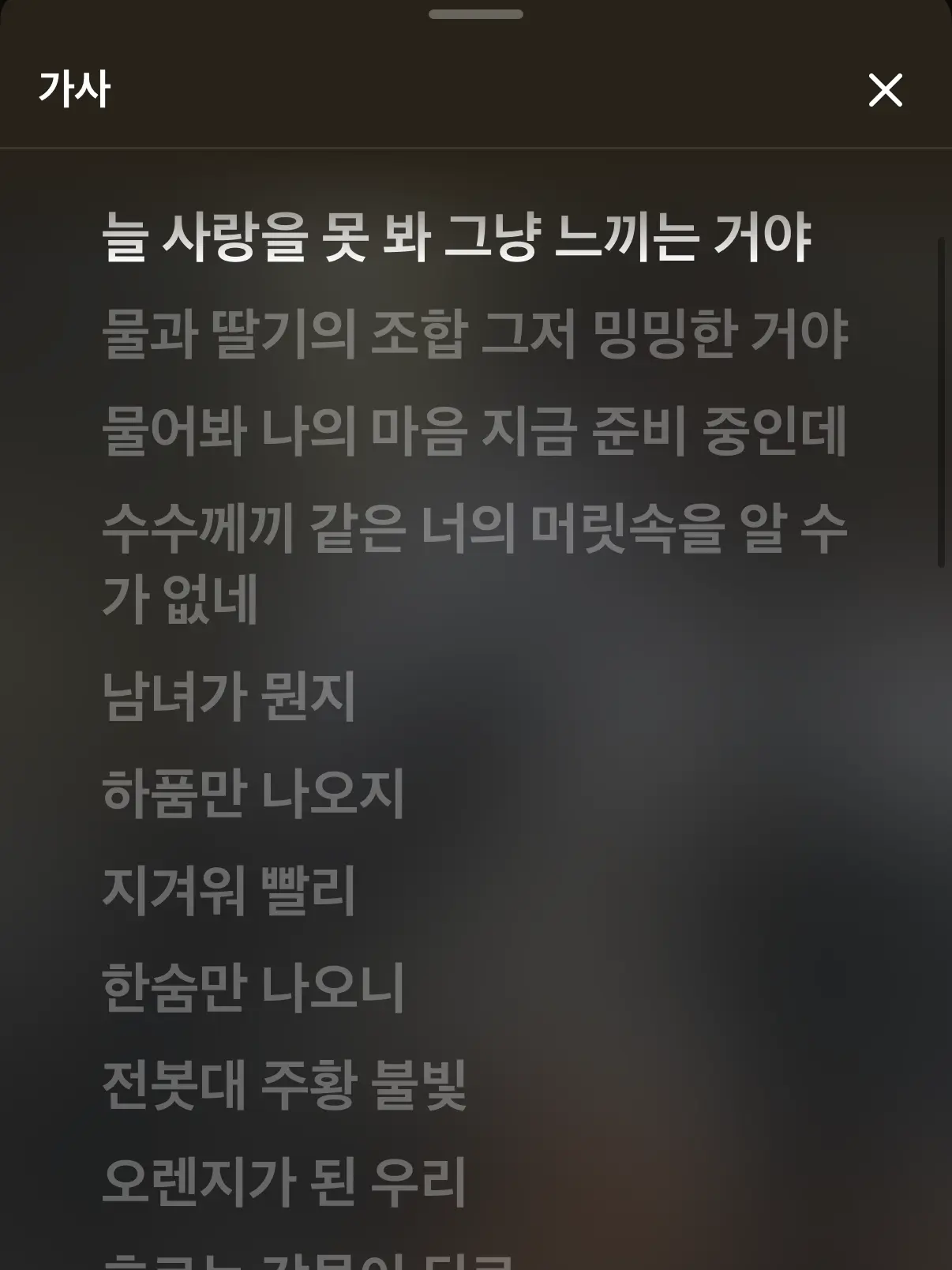 bobo.XD의 .