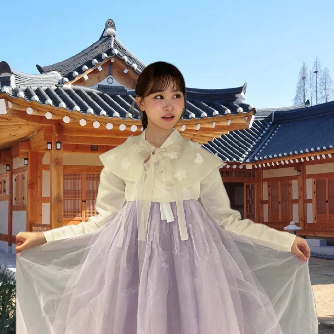 김다현