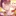 シャオロン