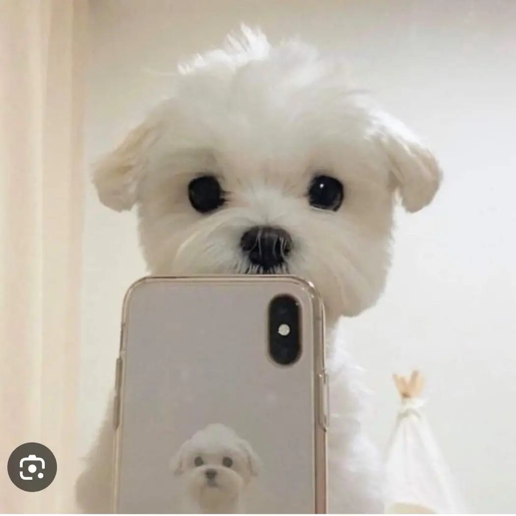 CostlyWage8693의 급식왕이 우리학교에온다면?