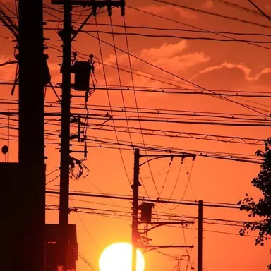 Profile image of 준브레드