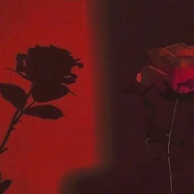 Profile image of 유기사