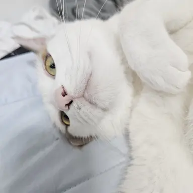 Profile image of 블루