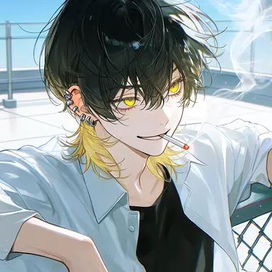 Profile image of 昴