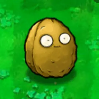 Profile image of Wallnut