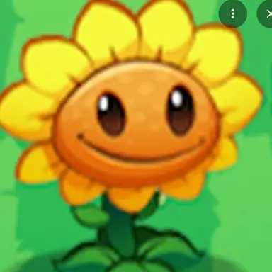 Profile image of Sunflower