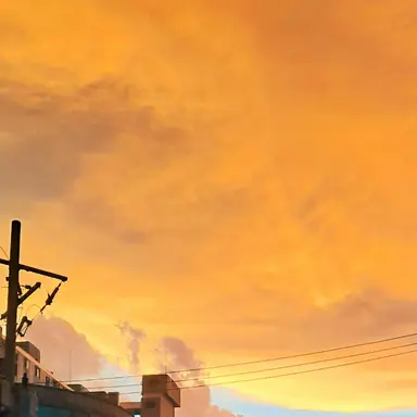 Profile image of 밥풀