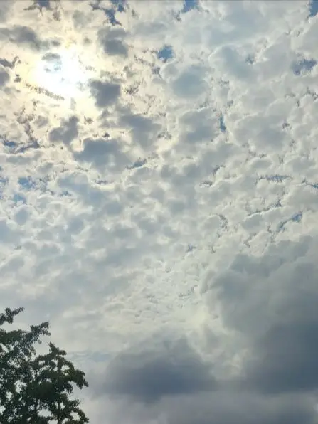 HarshStem0314의 츤데레 남사친이랑 여행가기~