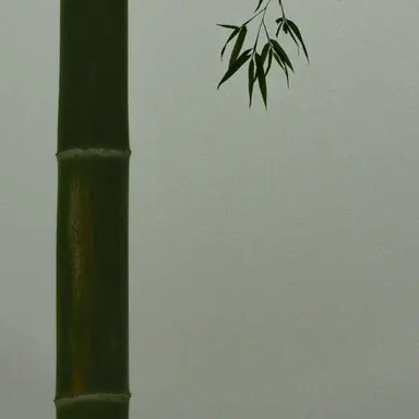 Profile image of 안유