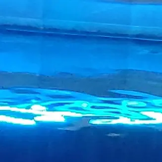 Profile image of 강태현