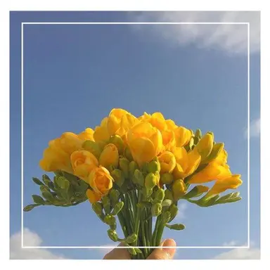 Profile image of 쪼만