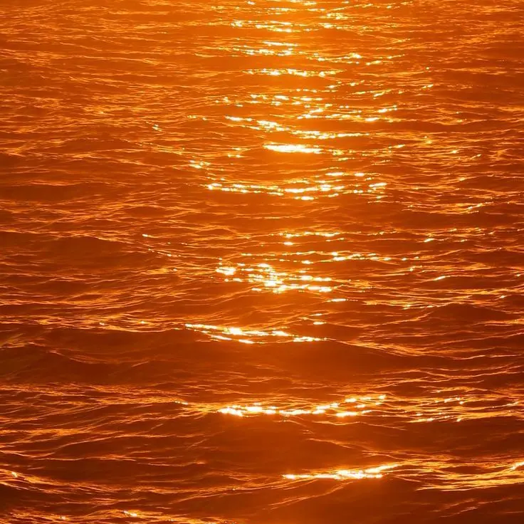 Soy_0502의 스코시즘