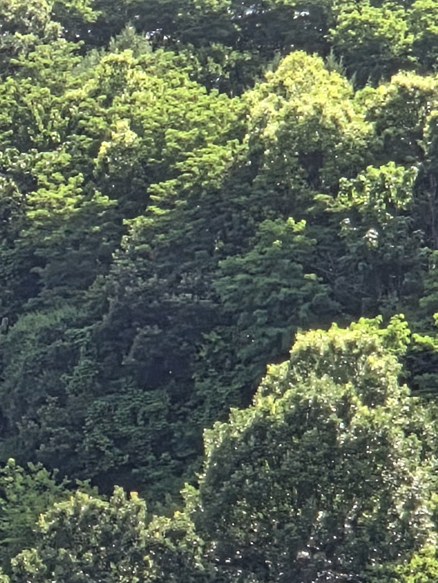 靑春 대표 이미지