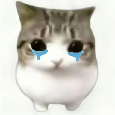 Profile image of 정이안