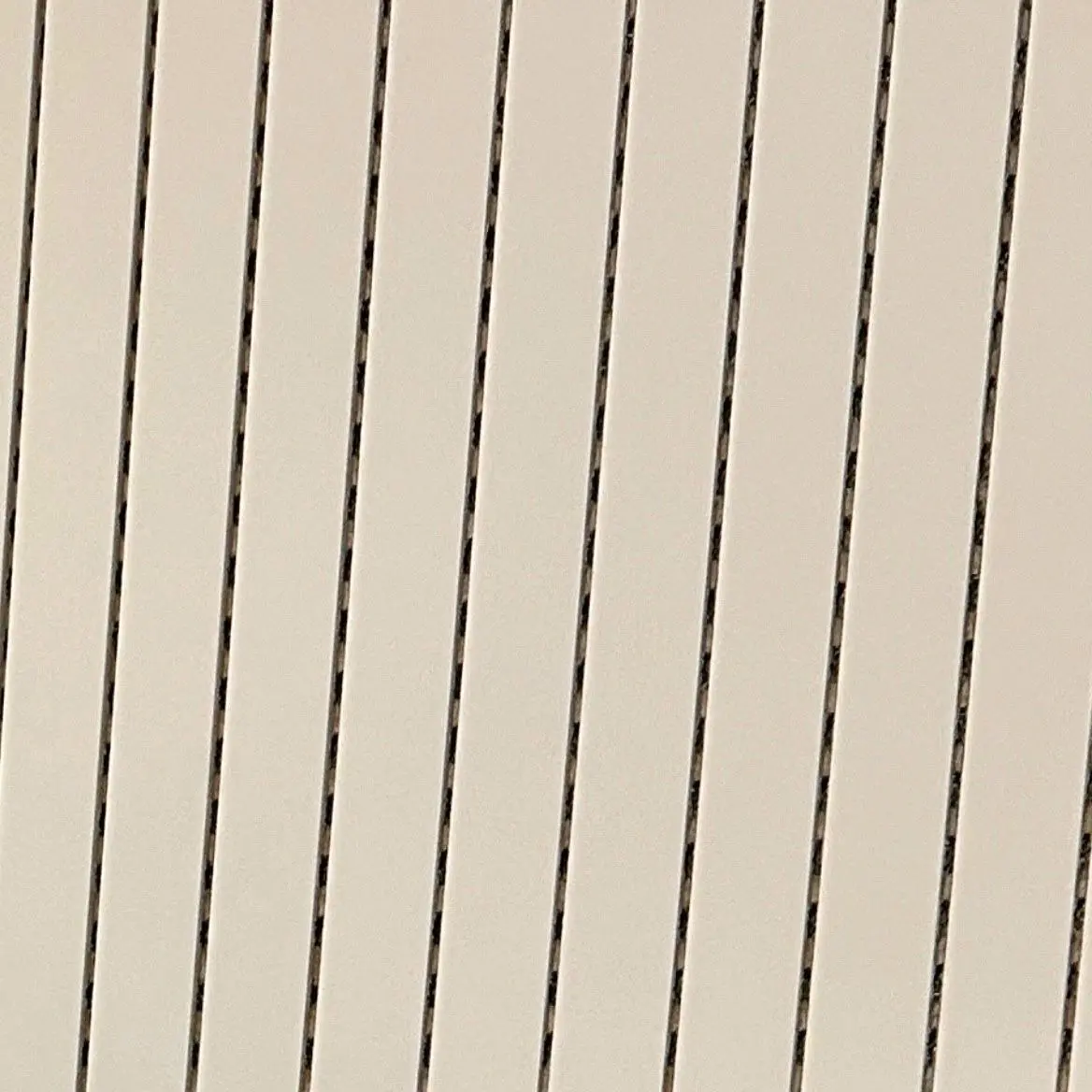 BouncyGlobe3999의 충성을 다하여