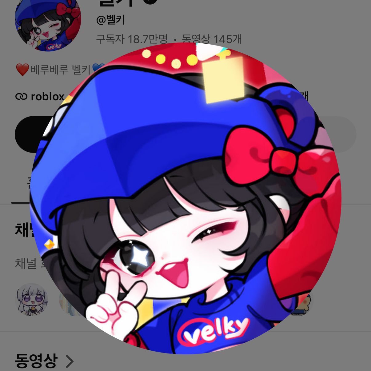 유튜버 태권도 대표 이미지