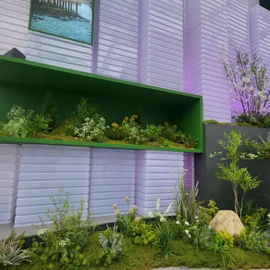 Profile image of 공룡